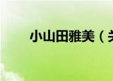 小山田雅美（关于小山田雅美介绍）