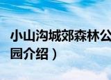 小山沟城郊森林公园（关于小山沟城郊森林公园介绍）