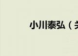 小川泰弘（关于小川泰弘介绍）