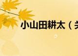 小山田耕太（关于小山田耕太介绍）