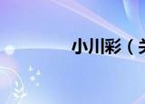 小川彩（关于小川彩介绍）