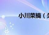 小川菜摘（关于小川菜摘介绍）