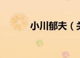 小川郁夫（关于小川郁夫介绍）