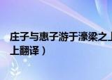 庄子与惠子游于濠梁之上翻译视频（庄子与惠子游于濠梁之上翻译）