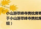 小山游翠峰寺携枕席寄宿僧堂僧甚多而不与人相接戏成（关于小山游翠峰寺携枕席寄宿僧堂僧甚多而不与人相接戏成介绍）