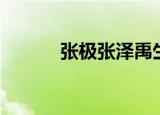 张极张泽禹生日（张泽禹生日）