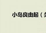 小岛良由起（关于小岛良由起介绍）
