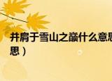 并肩于雪山之巅什么意思博君一肖（并肩于雪山之巅什么意思）