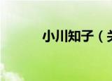 小川知子（关于小川知子介绍）