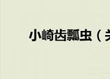 小崎齿瓢虫（关于小崎齿瓢虫介绍）