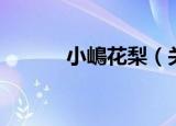 小嶋花梨（关于小嶋花梨介绍）