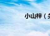 小山梓（关于小山梓介绍）