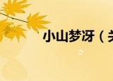 小山梦冴（关于小山梦冴介绍）