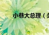 小巷大总理（关于小巷大总理介绍）