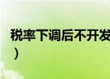 税率下调后不开发票的税率可能是（税率下调）
