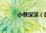 小巷深深（关于小巷深深介绍）