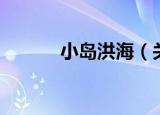 小岛洪海（关于小岛洪海介绍）