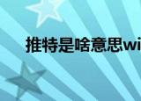 推特是啥意思winner（推特是啥意思）