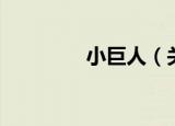 小巨人（关于小巨人介绍）