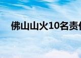 佛山山火10名责任人被刑拘（佛山山火）