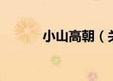 小山高朝（关于小山高朝介绍）