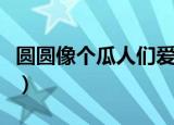 圆圆像个瓜人们爱玩他没有到手（圆圆像个瓜）