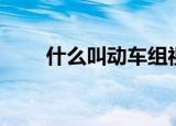 什么叫动车组视频（什么叫动车组）
