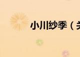 小川纱季（关于小川纱季介绍）