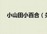 小山田小百合（关于小山田小百合介绍）