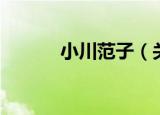 小川范子（关于小川范子介绍）