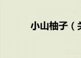 小山柚子（关于小山柚子介绍）