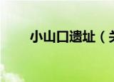 小山口遗址（关于小山口遗址介绍）