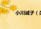 小川诚子（关于小川诚子介绍）