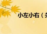 小左小右（关于小左小右介绍）