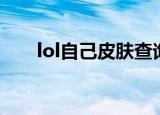 lol自己皮肤查询（lol皮肤查询系统）