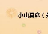 小山夏彦（关于小山夏彦介绍）