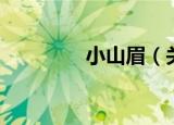 小山眉（关于小山眉介绍）