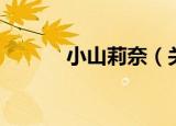 小山莉奈（关于小山莉奈介绍）