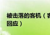 被击落的客机（客机机头垂直砸向地面 官方回应）