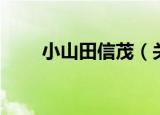 小山田信茂（关于小山田信茂介绍）
