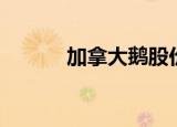 加拿大鹅股价（加拿大鹅暴跌）