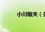 小川敏夫（关于小川敏夫介绍）