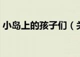 小岛上的孩子们（关于小岛上的孩子们介绍）