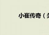 小崔传奇（关于小崔传奇介绍）