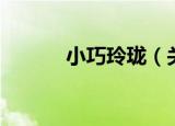 小巧玲珑（关于小巧玲珑介绍）