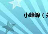 小峰峰（关于小峰峰介绍）