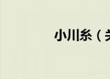 小川糸（关于小川糸介绍）