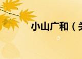 小山广和（关于小山广和介绍）