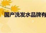 国产洗发水品牌有哪些（国产洗发水品牌）