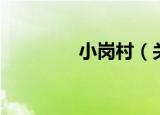 小岗村（关于小岗村介绍）